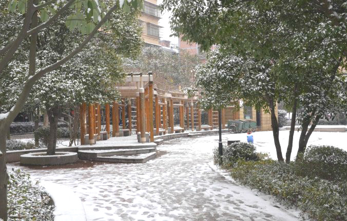 初雪逢周末，多个项目及时展开清理工作