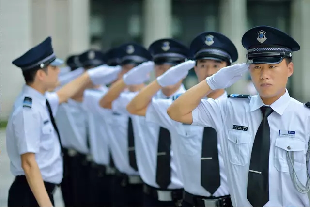 精进专业技能，共护和谐家园